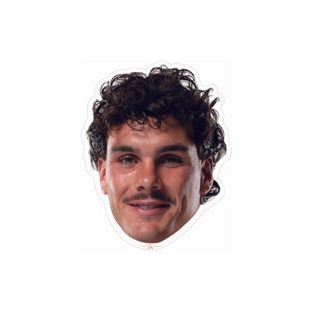 Dolphins Player Head Cutouts - LARGE