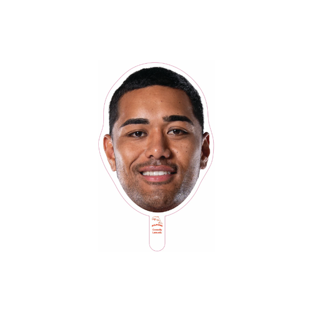 Dolphins Player Head Cutouts - SMALL