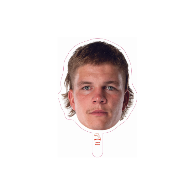 Dolphins Player Head Cutouts - SMALL