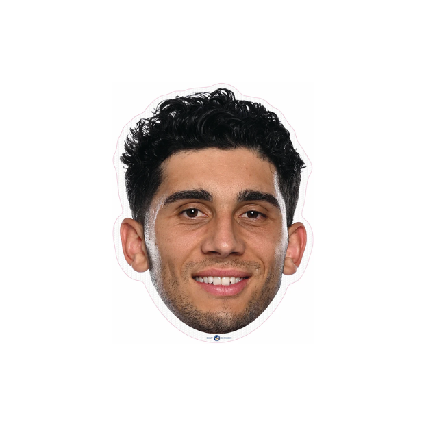 Parramatta Eels Player Head Cutouts - LARGE