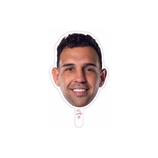 Dolphins Player Head Cutouts - SMALL