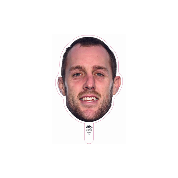 Penrith Panthers Player Head Cutouts - SMALL