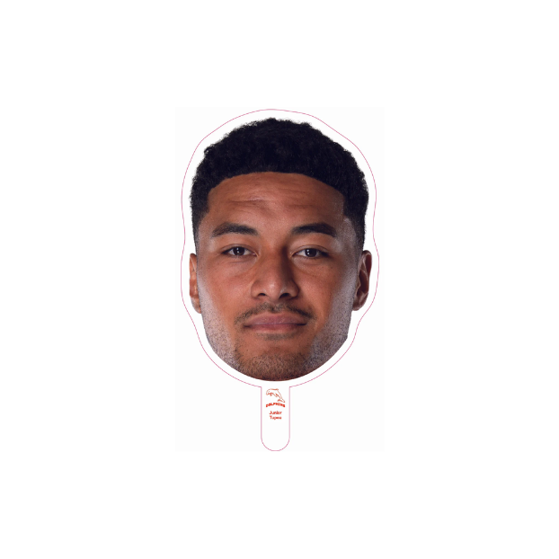 Dolphins Player Head Cutouts - SMALL