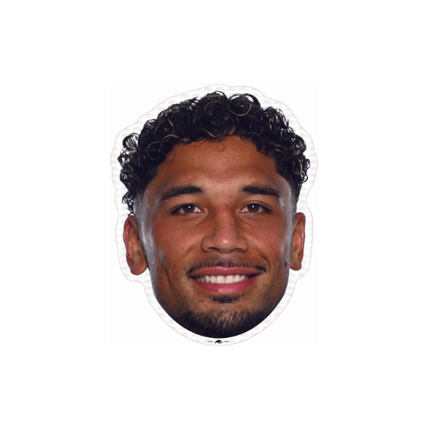 Penrith Panthers Player Head Cutouts - LARGE