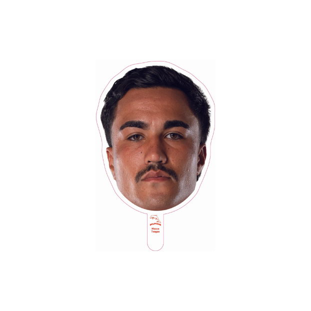 Dolphins Player Head Cutouts - SMALL