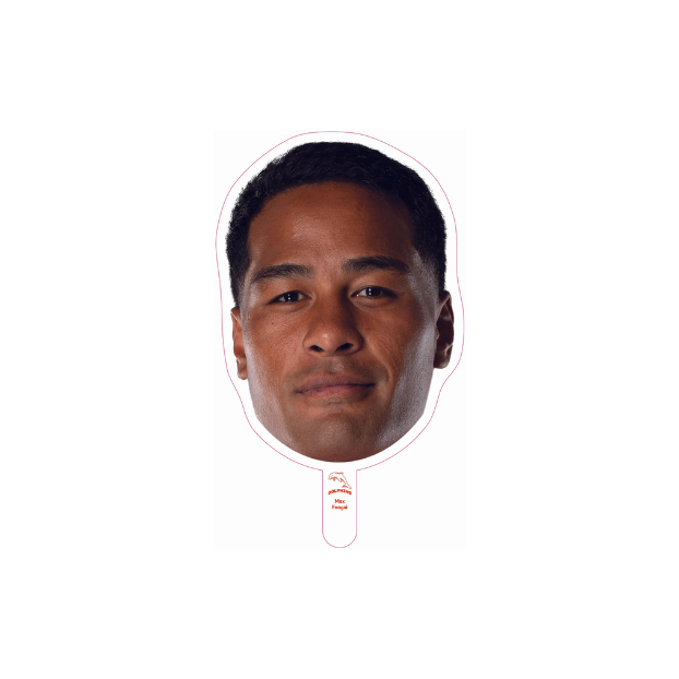 Dolphins Player Head Cutouts - SMALL