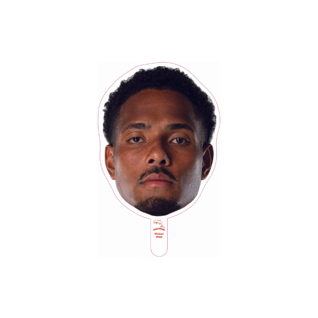 Dolphins Player Head Cutouts - SMALL