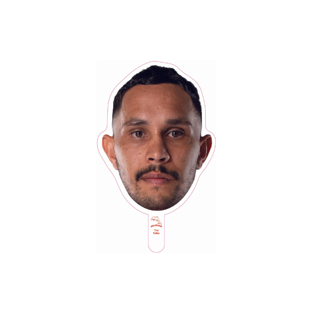 Dolphins Player Head Cutouts - SMALL