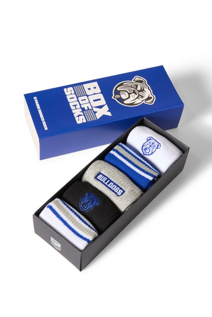Canterbury Bulldogs Boxed Socks (5pk)
