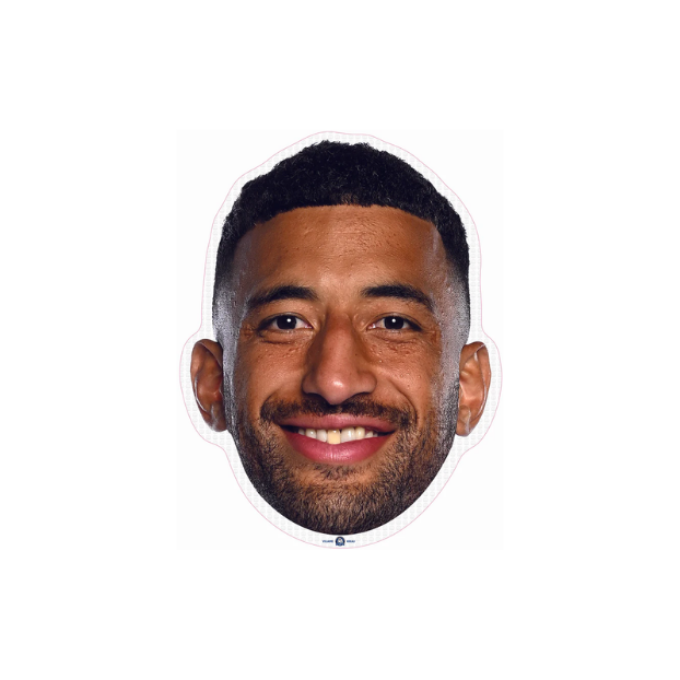 Canterbury Bulldogs Player Head Cutouts - LARGE
