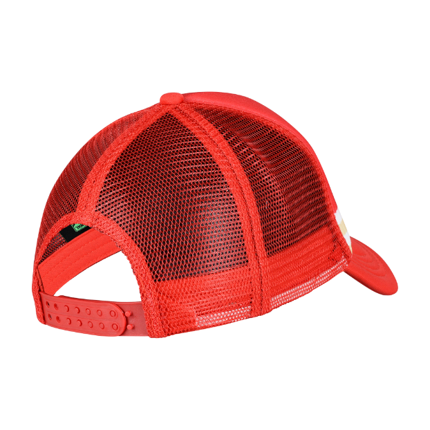 Dolphins Retro Trucker Cap