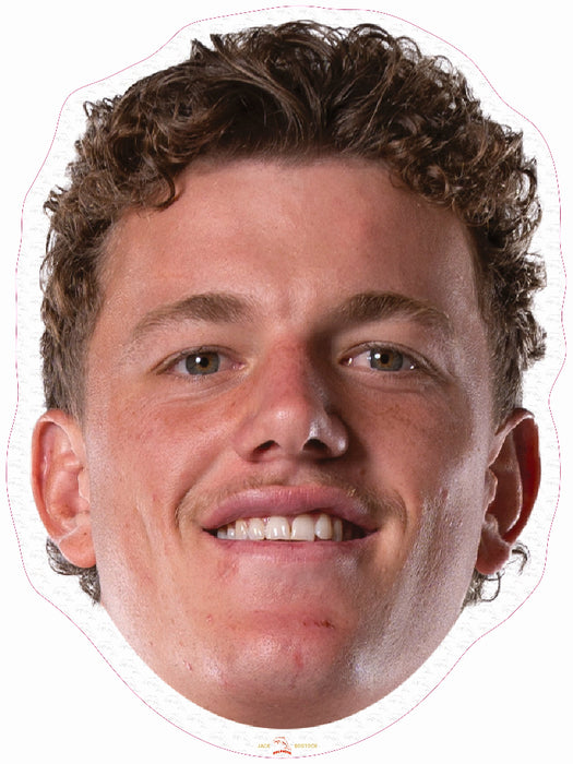 Dolphins Player Head Cutouts - LARGE