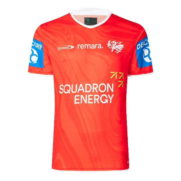 St George Illawarra Dragons 2025 Mens Players Training Shirt