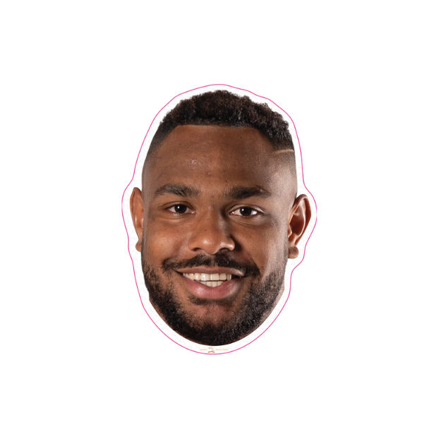 Dolphins Player Head Cutouts - LARGE