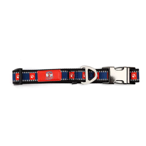 Sydney Roosters Pet Collar