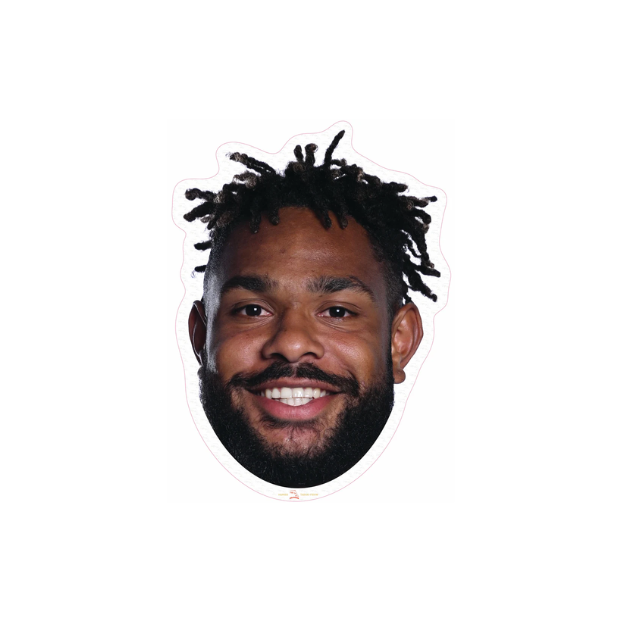 Dolphins Player Head Cutouts - LARGE