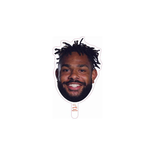 Dolphins Player Head Cutouts - SMALL