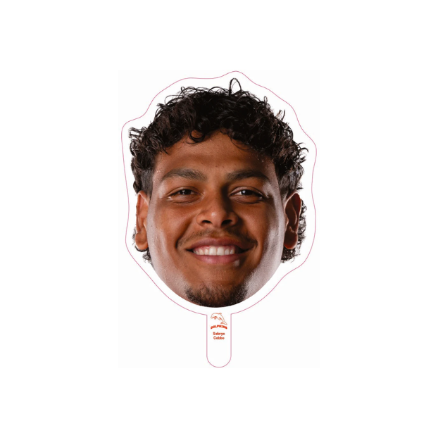 Dolphins Player Head Cutouts - SMALL