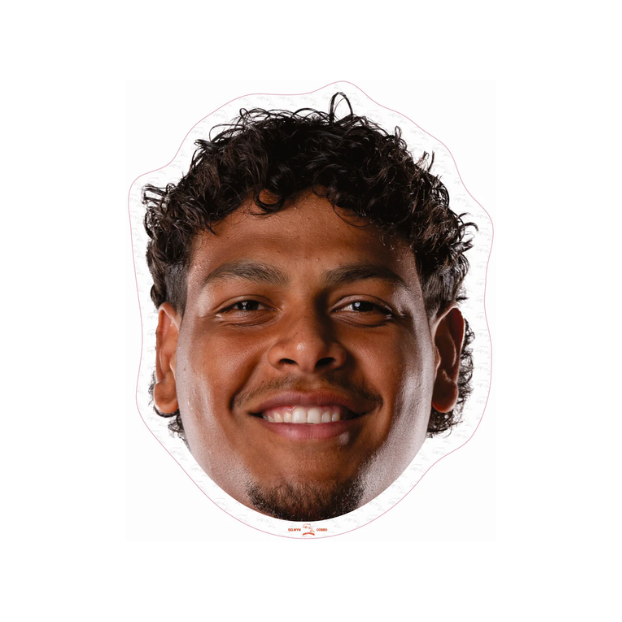 Dolphins Player Head Cutouts - LARGE