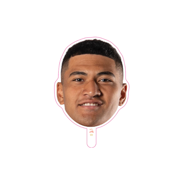 *PRE ORDER DEC* Dolphins Player Head Cutouts - SMALL